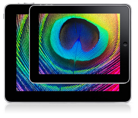 9.7-inch iPad and iPad mini